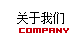 公司介绍
