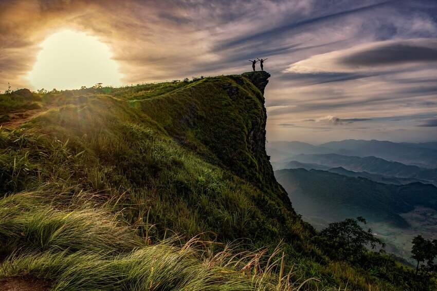 美化阳台(种哪些花可鲜花自由)